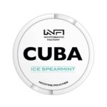 WHITE ICE SPEARMINT 16MG