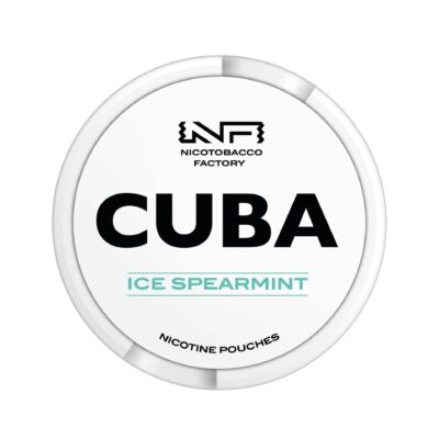 WHITE ICE SPEARMINT 16MG